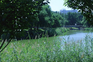 公园风景  