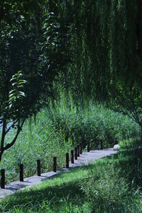 公园风景  