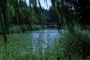 公园风景 