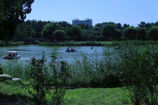 公园风景  