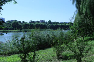 公园风景 