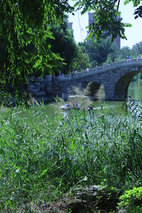 公园风景  