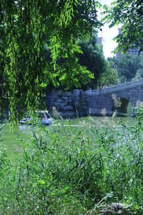 公园风景  