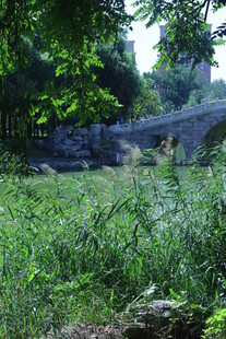 公园风景 