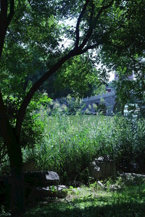 公园风景  