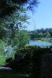 公园风景 