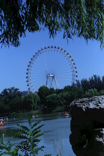 公园风景 