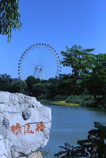 公园风景 