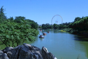 公园风景  