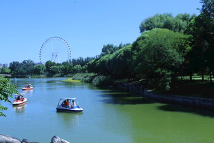 公园风景  