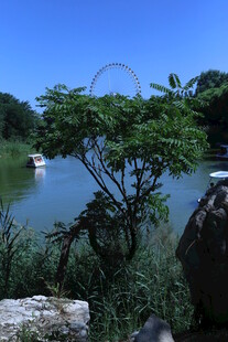 公园风景 