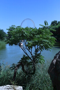 公园风景  