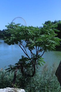 公园风景  