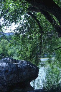 公园风景  