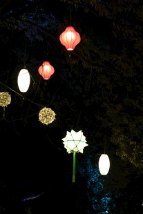 节日花灯