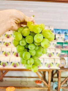 葡萄