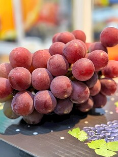 葡萄