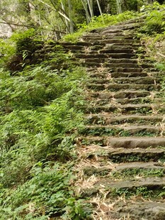 山林间的古朴石阶小径