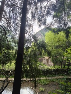 山林间的静谧池塘景色