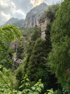 山间绿意盎然的壮丽峡谷