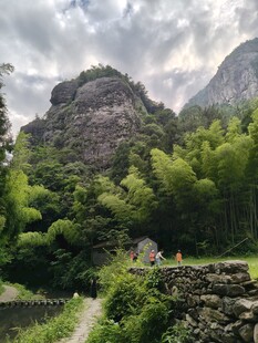 山间幽径翠竹环绕的美景