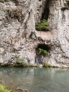 山间幽潭峭壁绿植相伴