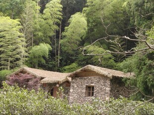 山林中的古朴小屋