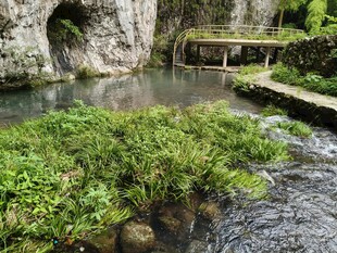 山间清幽溪流景观