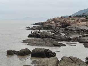 海边嶙峋礁石景观
