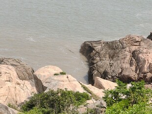 海边嶙峋岩石与绿植