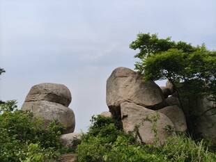 山间奇石与葱郁绿植
