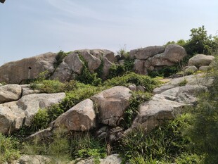 嶙峋山石与绿意相伴