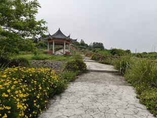 山间小径旁的中式建筑