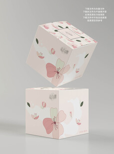 清新蛋糕盒包装设计