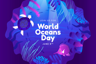 世界海洋日主题绚丽插画