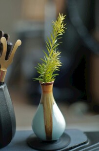 简约花瓶中的翠绿植物