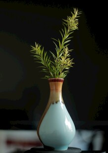 蓝白花瓶中的清新绿植