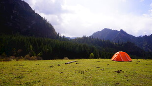 草原上的橙色露营帐篷