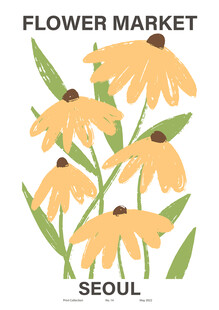 首尔花卉市场的黑心菊