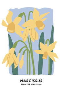 黄色水仙插画