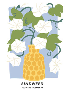 花瓶插着白色旋花插画