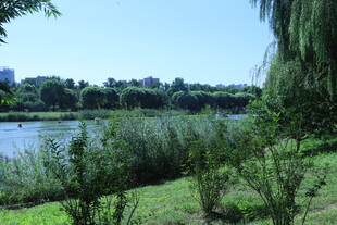 公园风景  