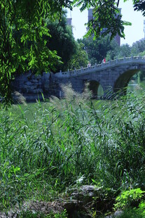 公园风景  