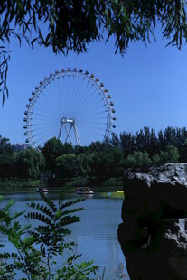 公园风景 