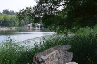公园风景 