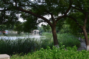 公园风景  