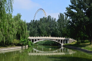 公园风景  