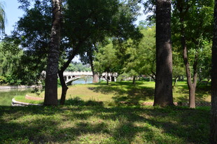 公园风景 