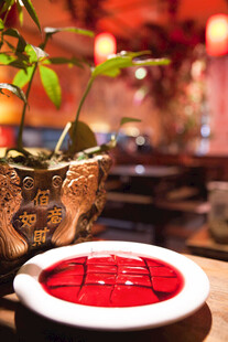 中式火锅与绿植雅致场景