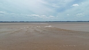 广阔沙滩与天际线景观